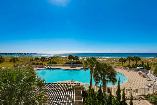 a row of palm trees and swimming pool on the patio