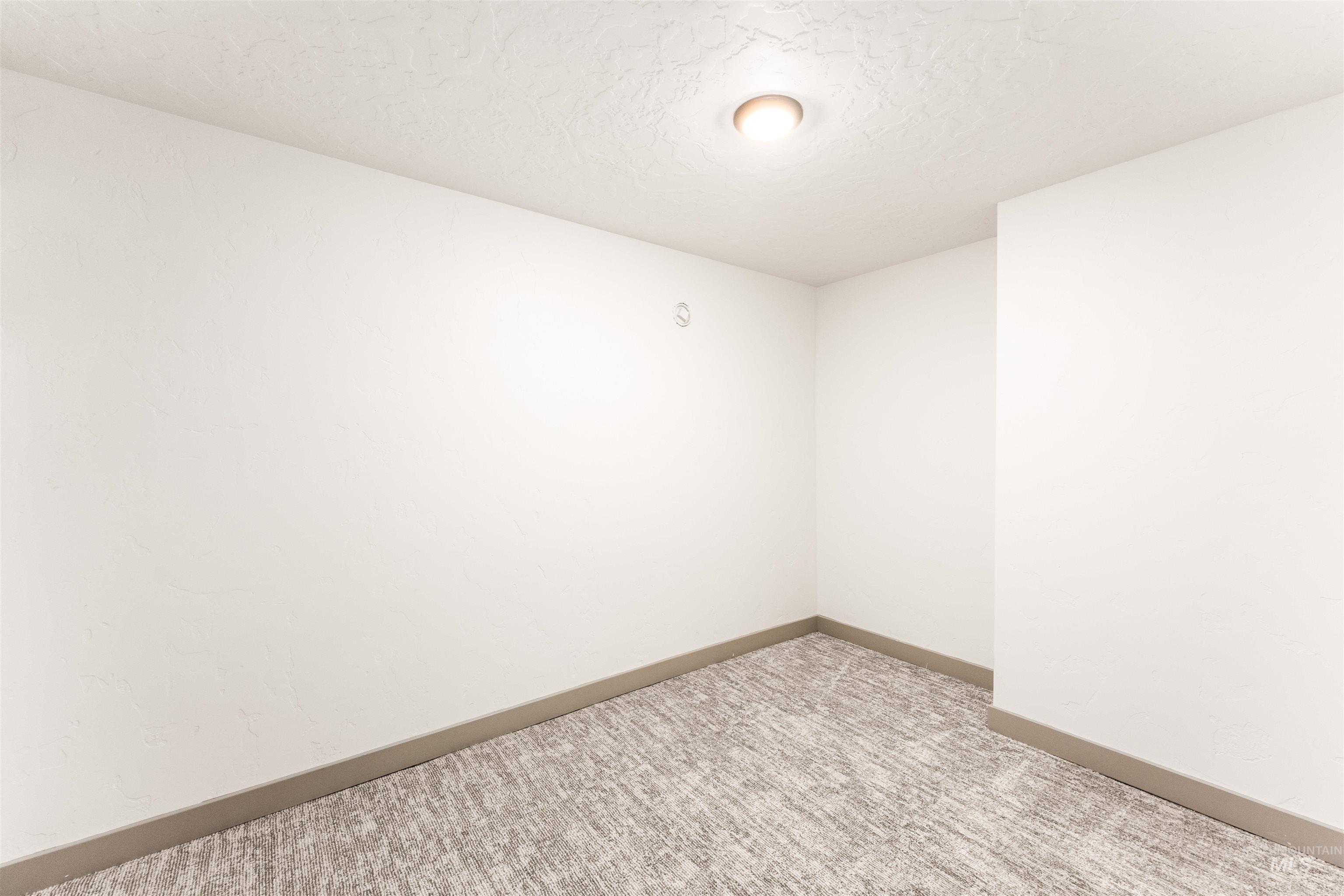 602 North 5th Street Parma, ID 83660 - Photo 41 of 48 Empty room with light colored carpet and a textured ceiling