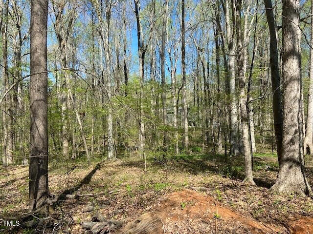 1455 Dimmocks Mill Road Hillsborough, NC 27278 - Photo 10 of 19 a view of a backyard