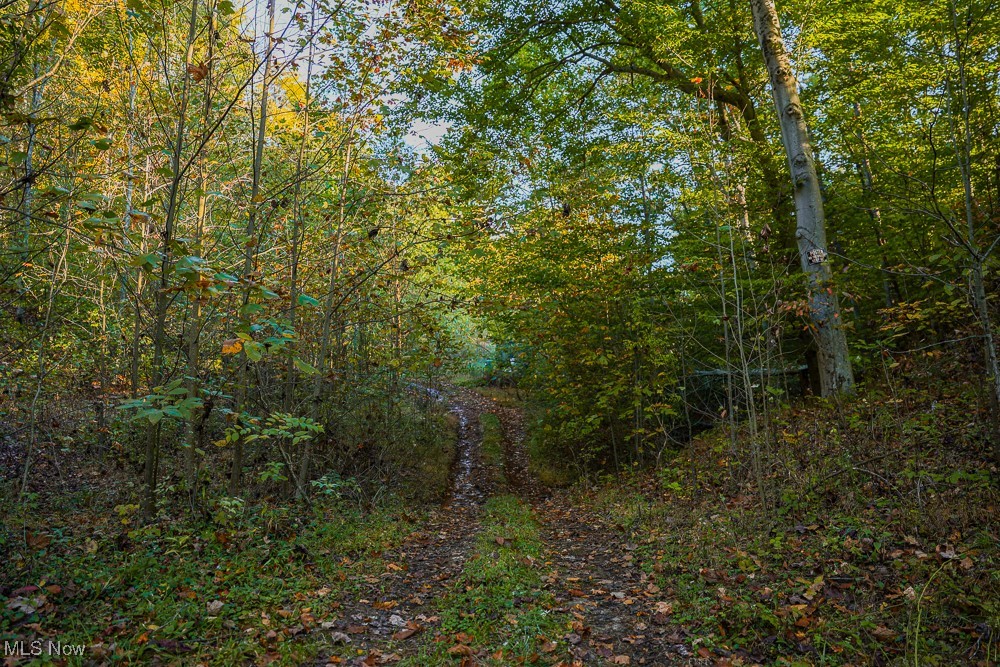 Baughman Run Road Roseville, OH 43777 - Photo 11 of 38 View of local wilderness