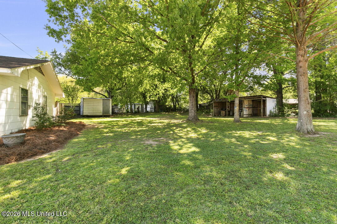 303 Cox Ferry Road Flora, MS 39071 - Photo 26 of 28 554AC0F7-653E-4217-BC2B-9775974C6BE1_1_1