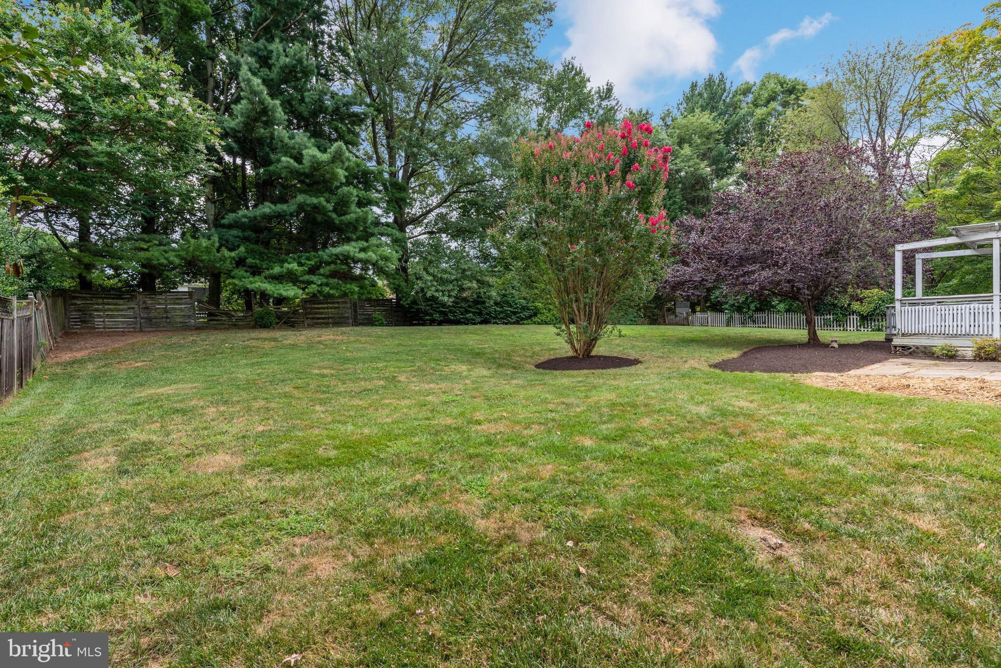 15113 Winstead Lane Silver Spring, MD 20905 - Photo 33 of 37 Backyard-professionally landscaped