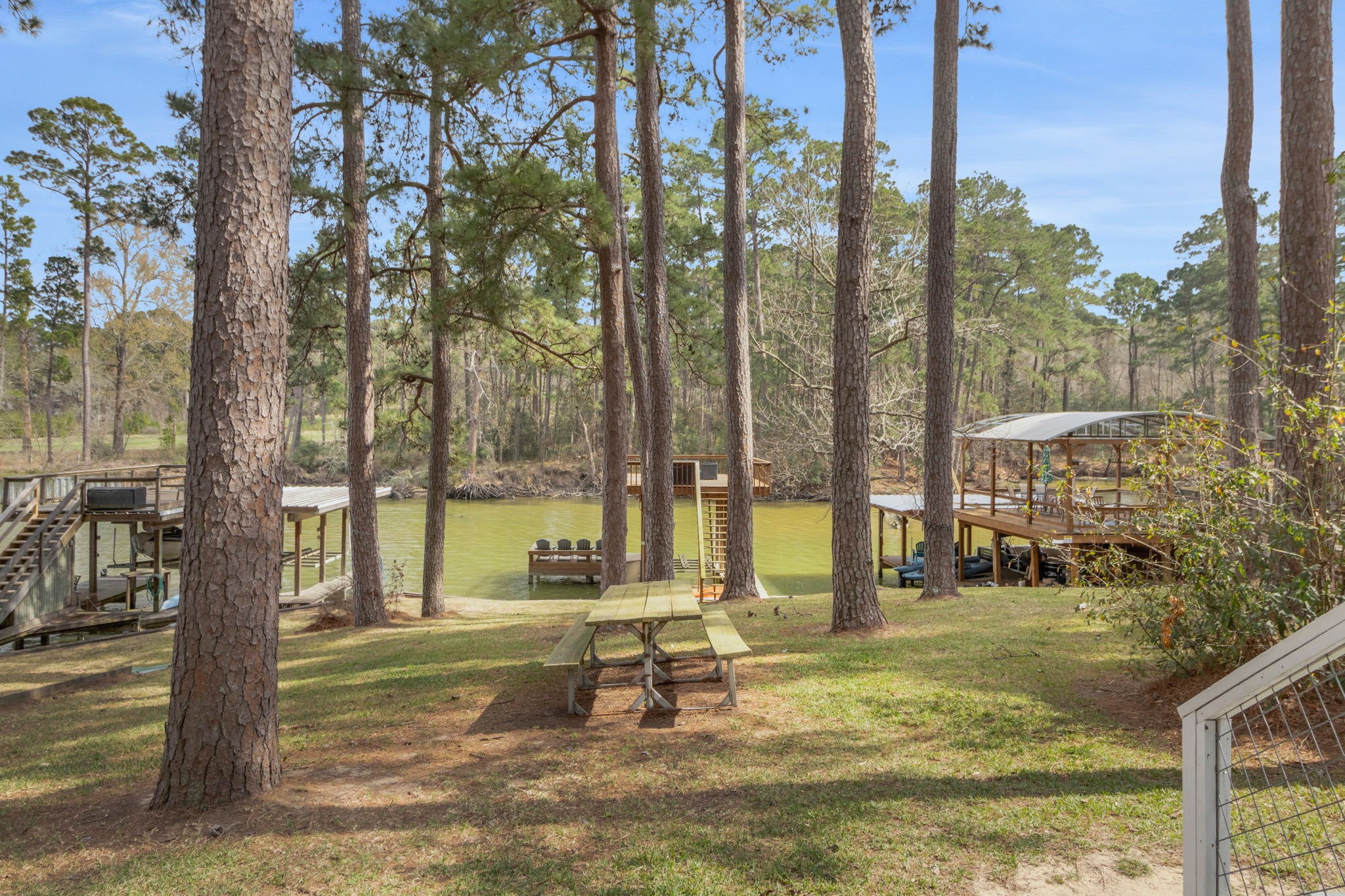 21 Red Bird Lane Coldspring, TX 77331 - Photo 28 of 37 The home has a nice back yard with mature pines