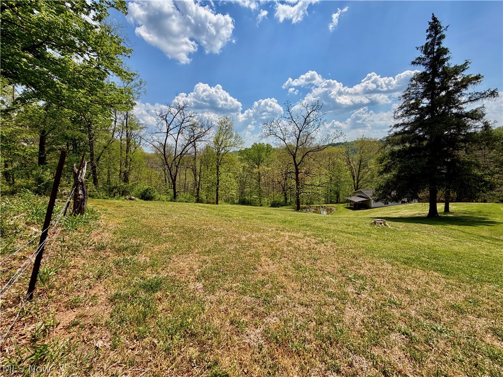 2163 Bull Run Road Waverly, WV 26184 - Photo 43 of 47