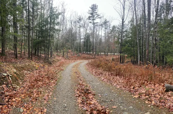 $99,000 | 1651 Swan Lake Avenue, Swanville, ME 04915