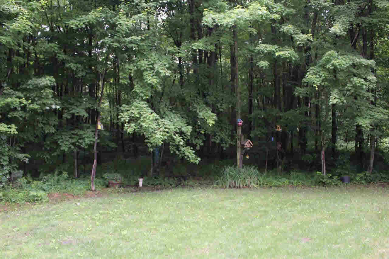 15914 Niblock Road Chesaning, MI 48616 - Photo 24 of 28 21178082-23.JPG