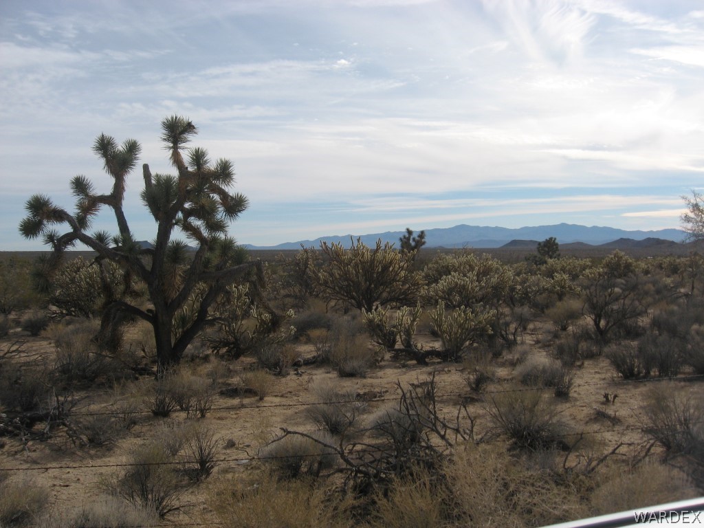 11900 Sherry Road Yucca, AZ 86438 - Photo 5 of 6 Gallery Image 5