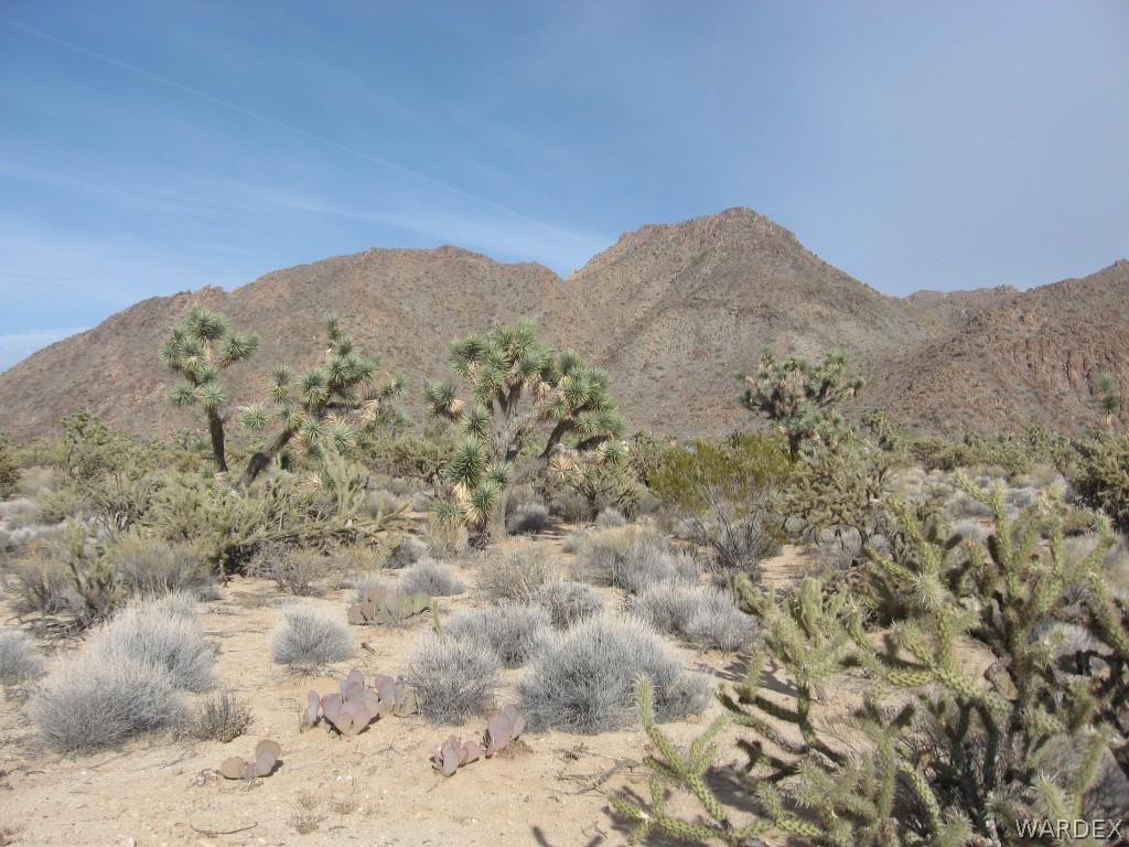 11900 Sherry Road Yucca, AZ 86438 - Photo 6 of 6 Gallery Image 6