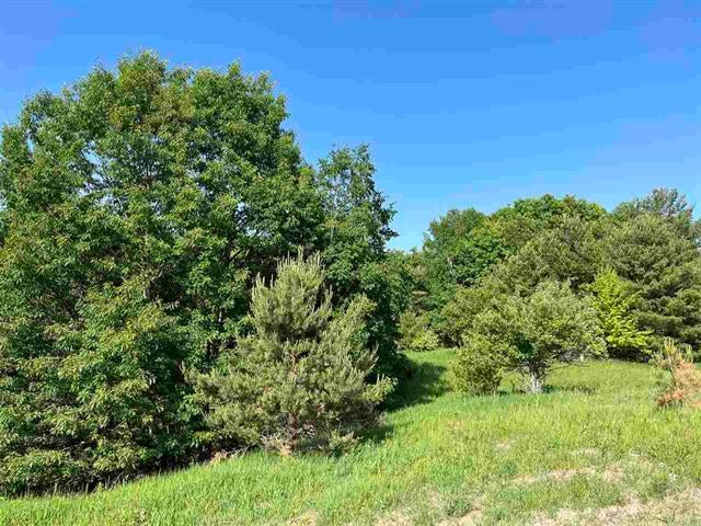 Division Rd Harbor Springs Harbor Springs, MI 49740 - Photo 1 of 6 Gallery Image 1