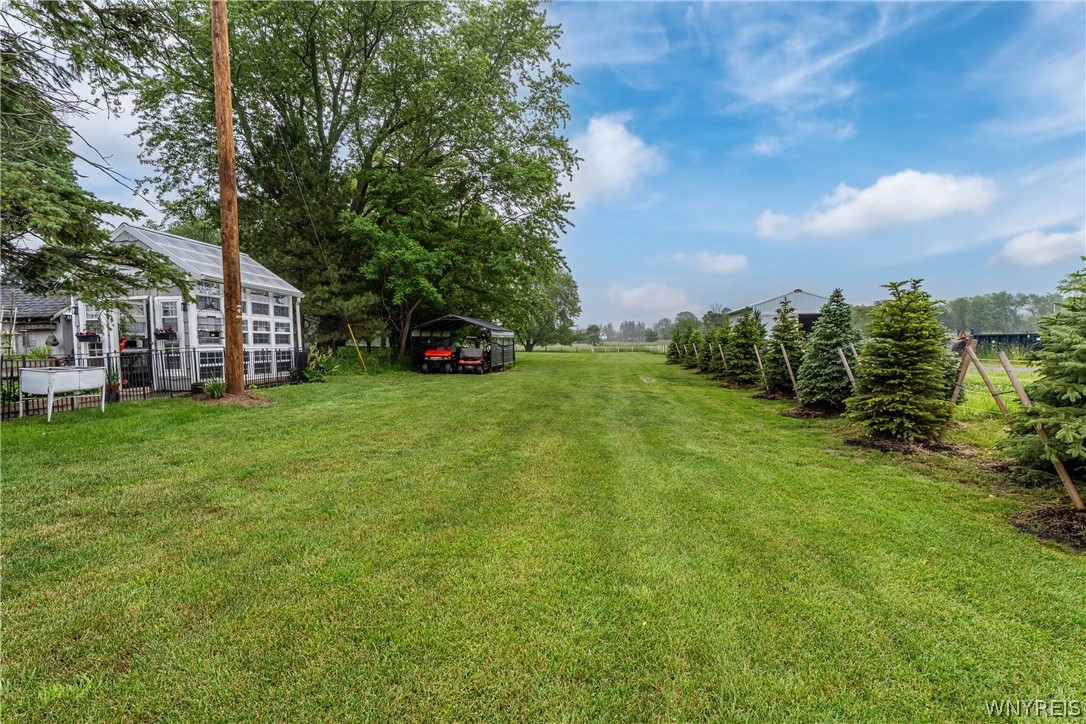 5525 Old Goodrich Road Clarence, NY 14032 - Photo 49 of 50