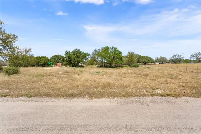 a view of a field with trees in the background
