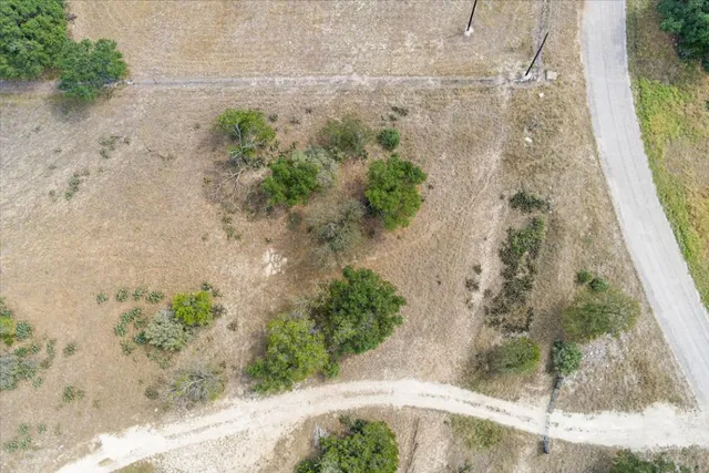 a view of a plant with wooden floor