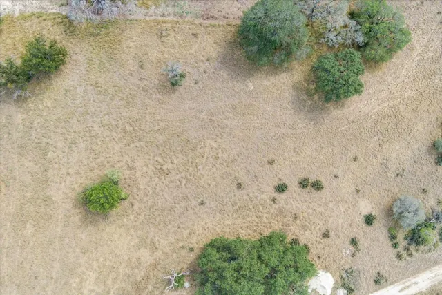 a view of a dry yard with wooden fence