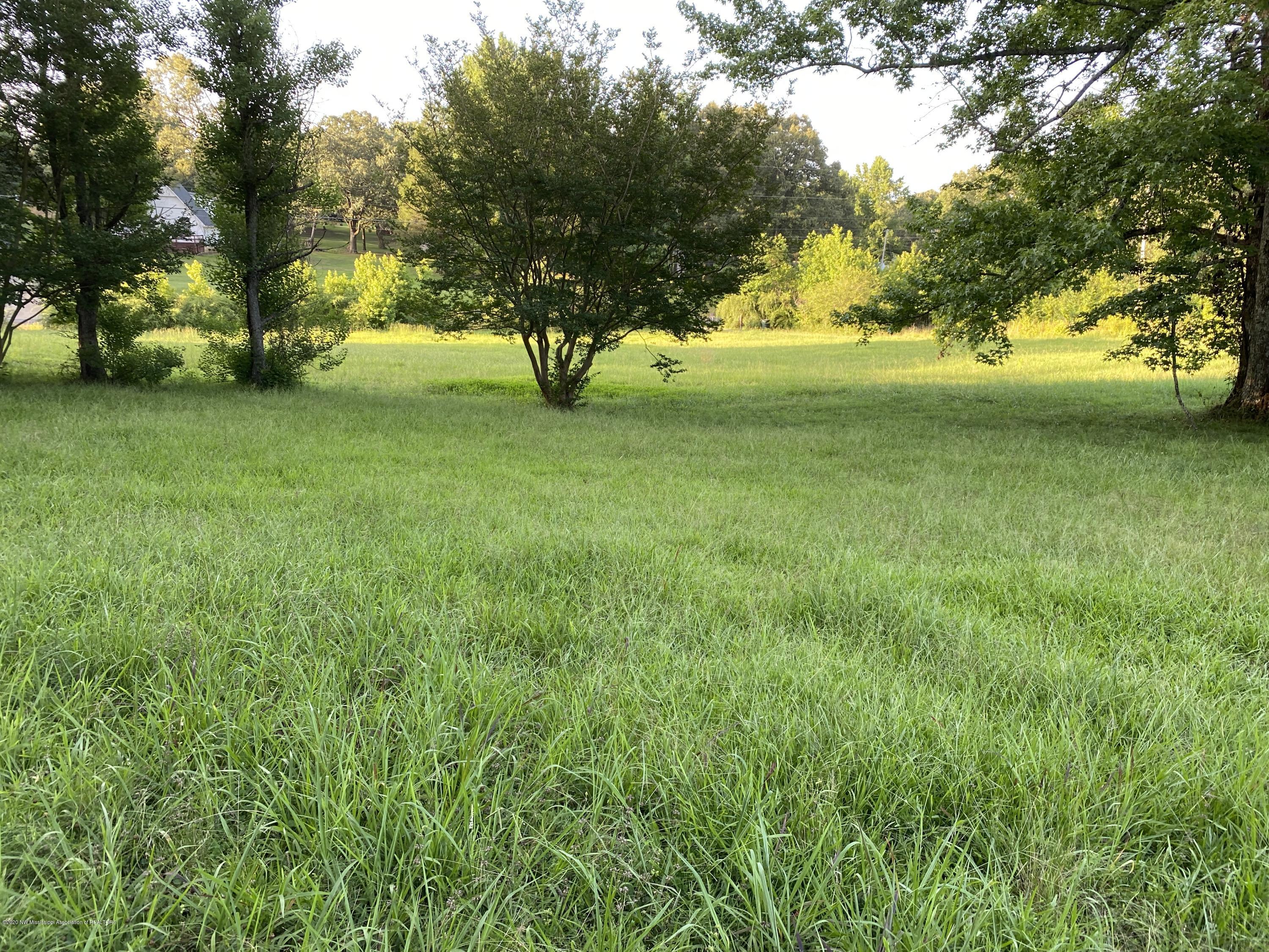 449 Strickland Road Byhalia, MS 38611 - Photo 2 of 45 Front yard