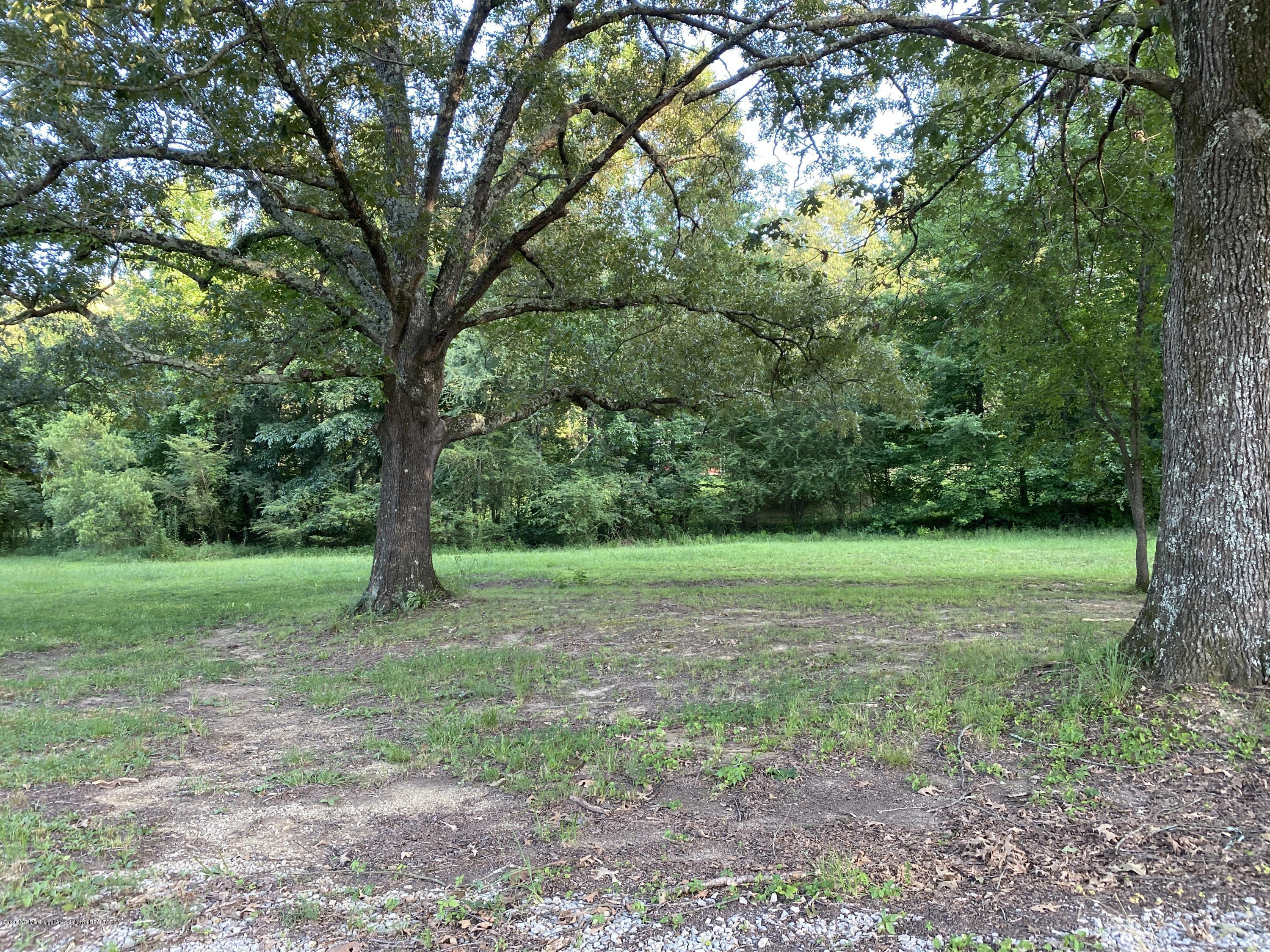 449 Strickland Road Byhalia, MS 38611 - Photo 41 of 45 Yard