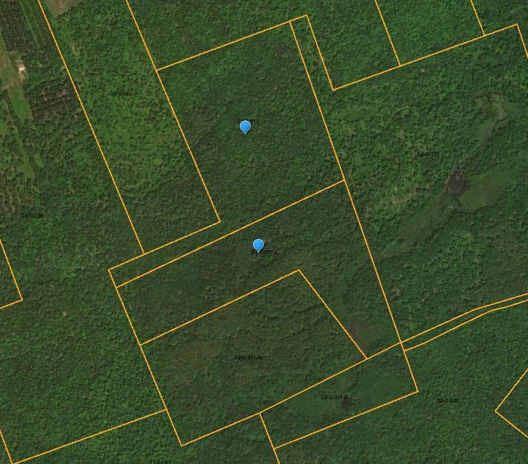 Lot 11-1 Partridge Road Hampden, ME 04444 - Photo 1 of 2 Aerial photo of the two lots (Map 2...