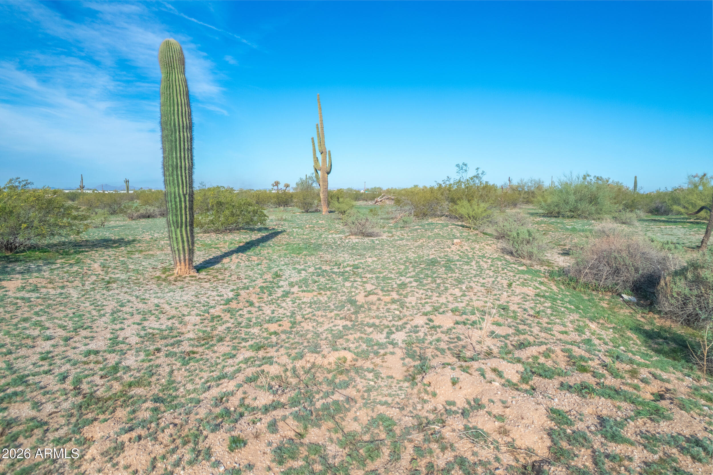 1850 East Cactus Forest Road Florence, AZ 85132 - Photo 6 of 36 a view of a city with tall trees