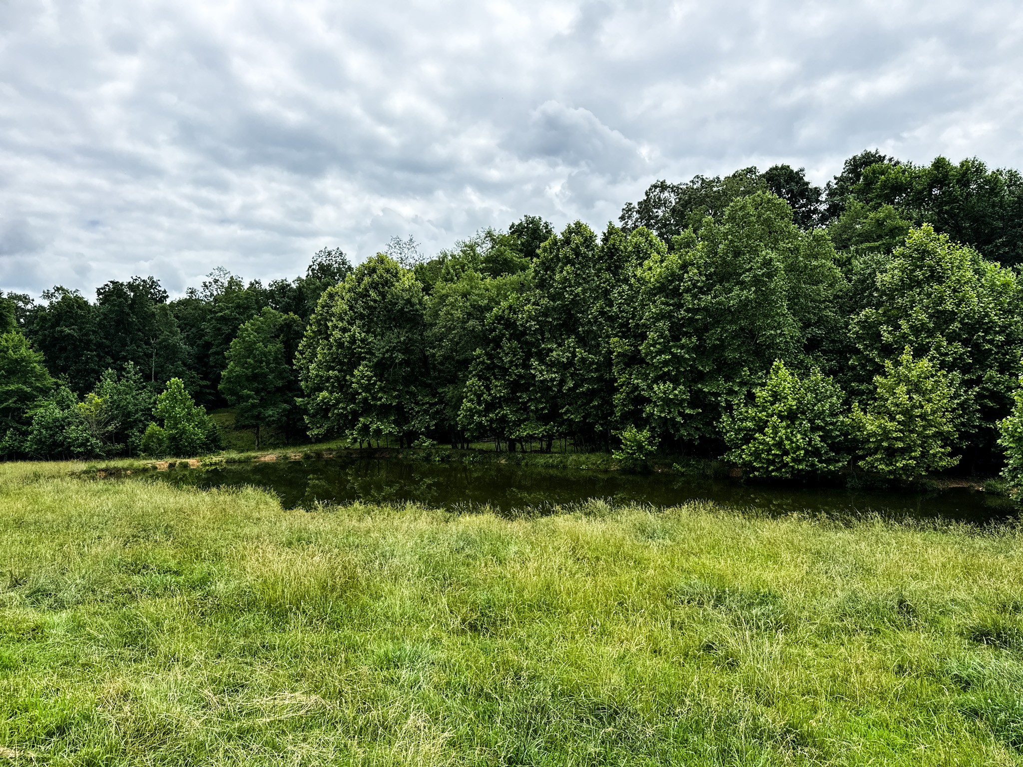 0 David Patterson Road Lutts, TN 38471 - Photo 58 of 58
