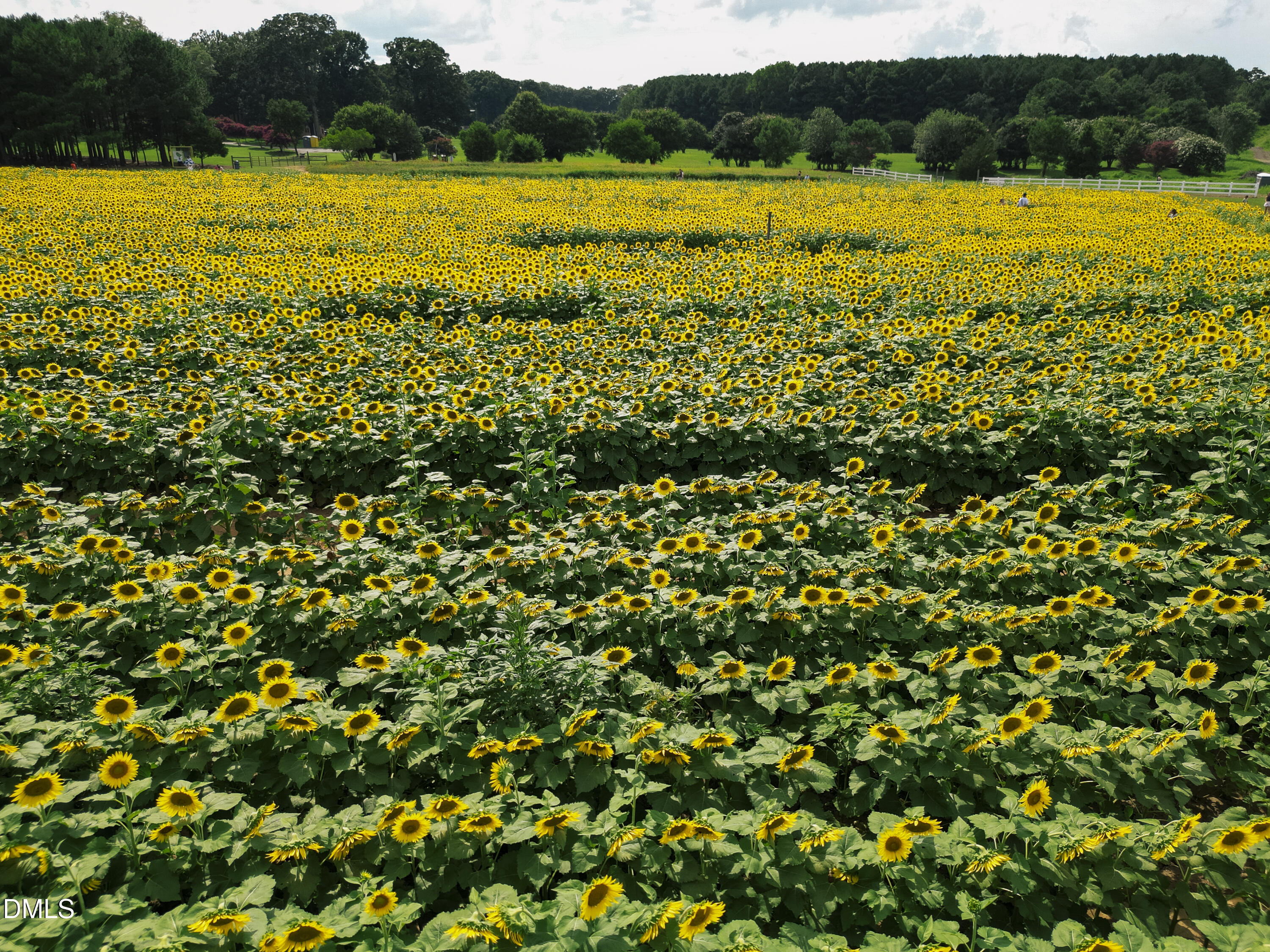 1503 Core Pointe Court Raleigh, NC 27603 - Photo 20 of 28 Proximity_Lifestyle_3