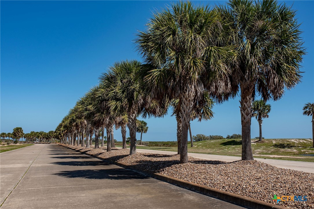 Lot 296 East Lago Loop Rd Port Port O'Connor, TX 77982 - Photo 11 of 13 a view of beach and palm trees