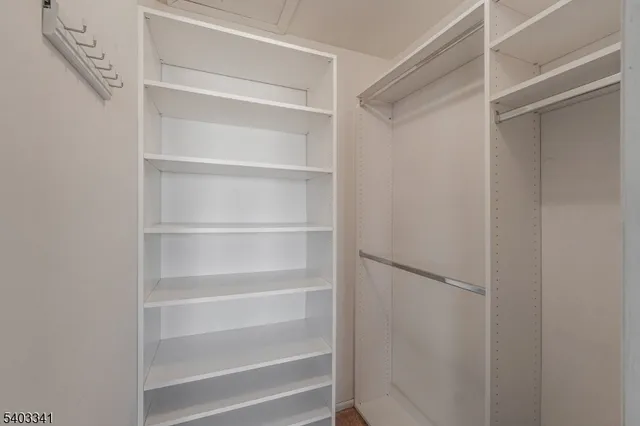 a view of walk in closet with empty racks