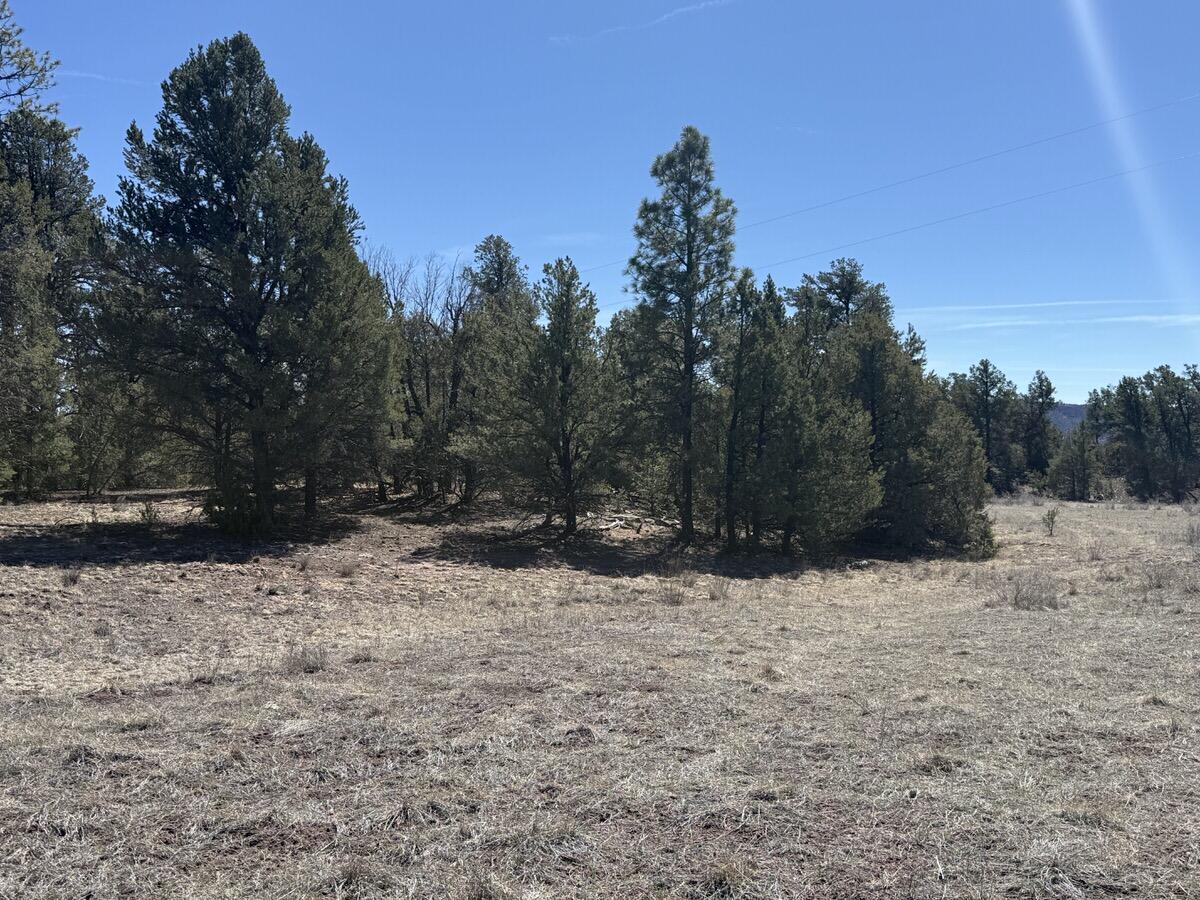 Lot 5 Copperweed Road Ramah, NM 87321 - Photo 53 of 88 Gallery Image 53