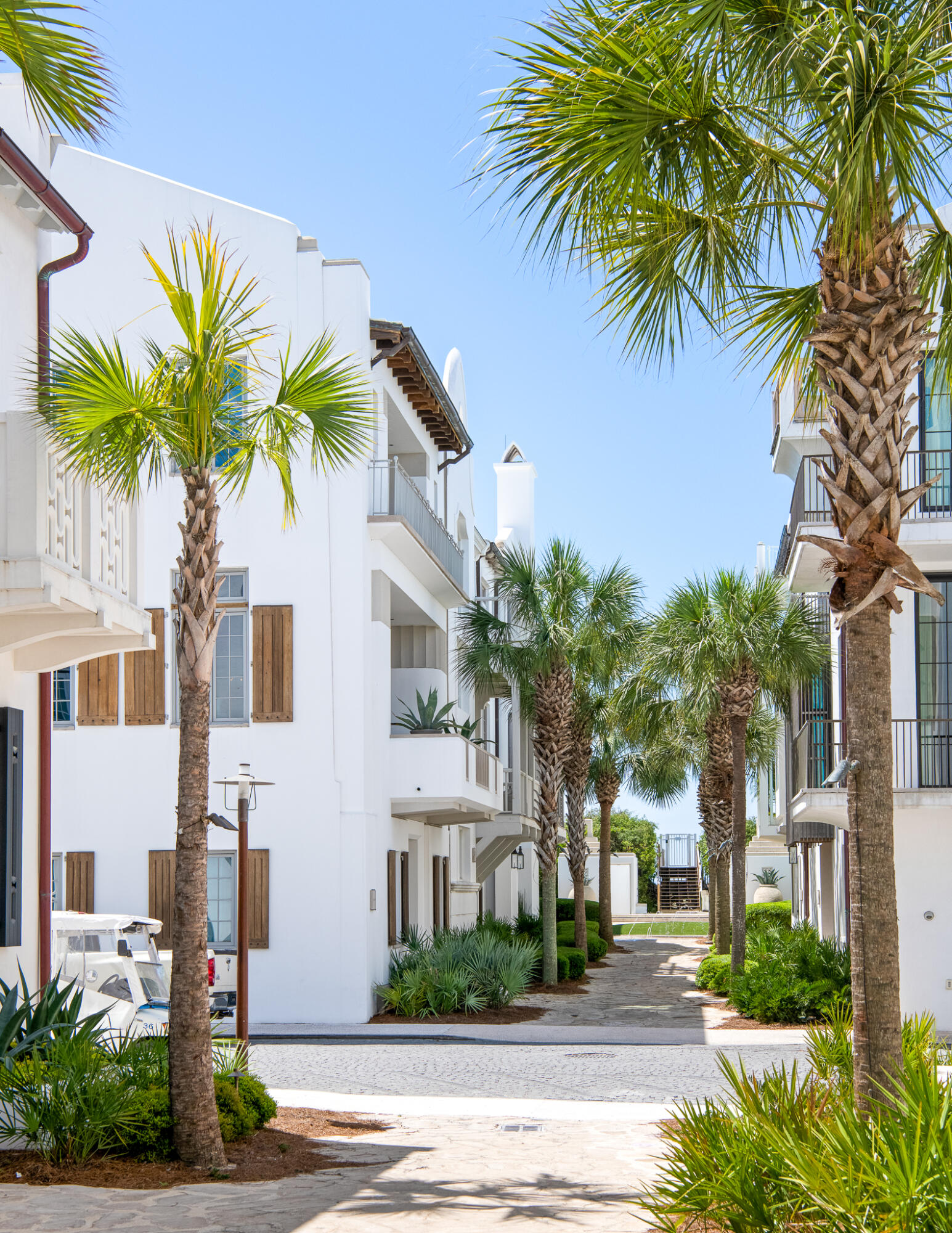 130 Sea Garden Street Inlet Beach, FL 32461 - Photo 5 of 77 a palm tree sitting in front of a house