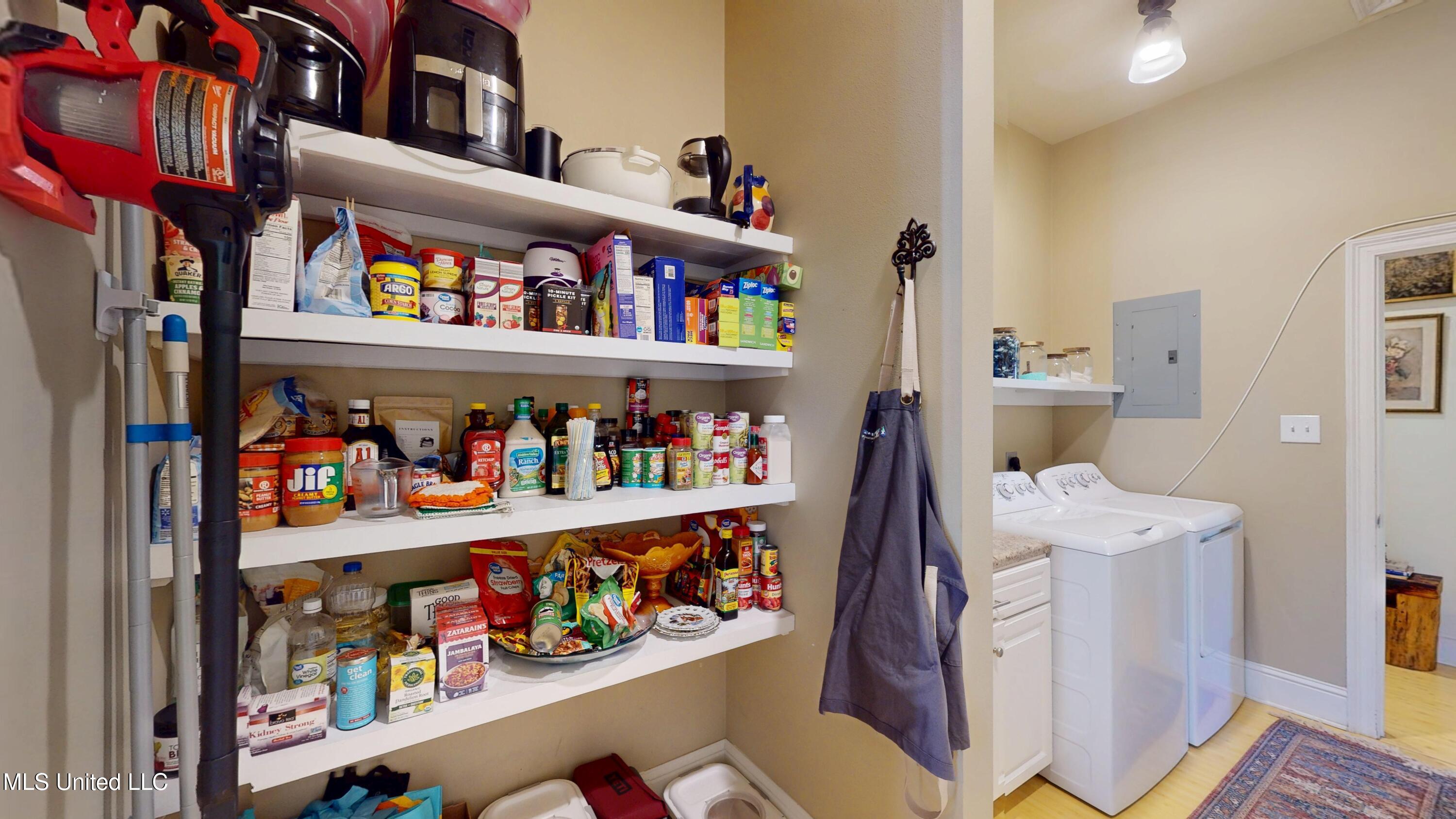 121 Tripp Lane Carriere, MS 39426 - Photo 15 of 62 Pantry/Laundry Room