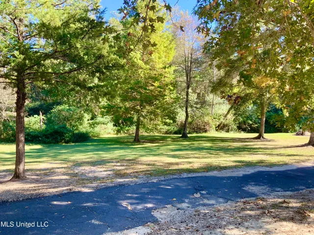 $335,000 | 121 Tripp Lane, Carriere, MS 39426