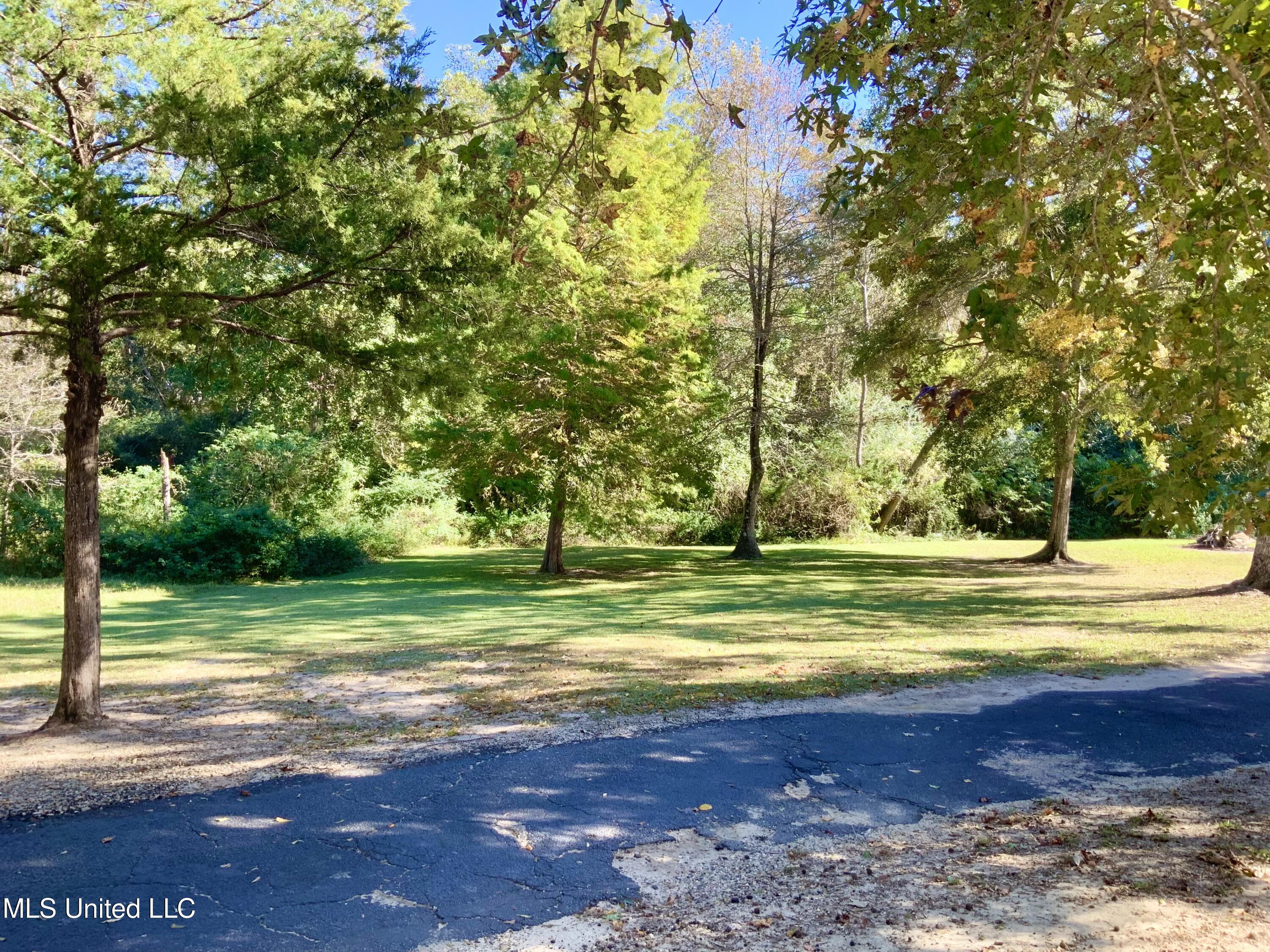 121 Tripp Lane Carriere, MS 39426 - Photo 43 of 62 Taken from left front