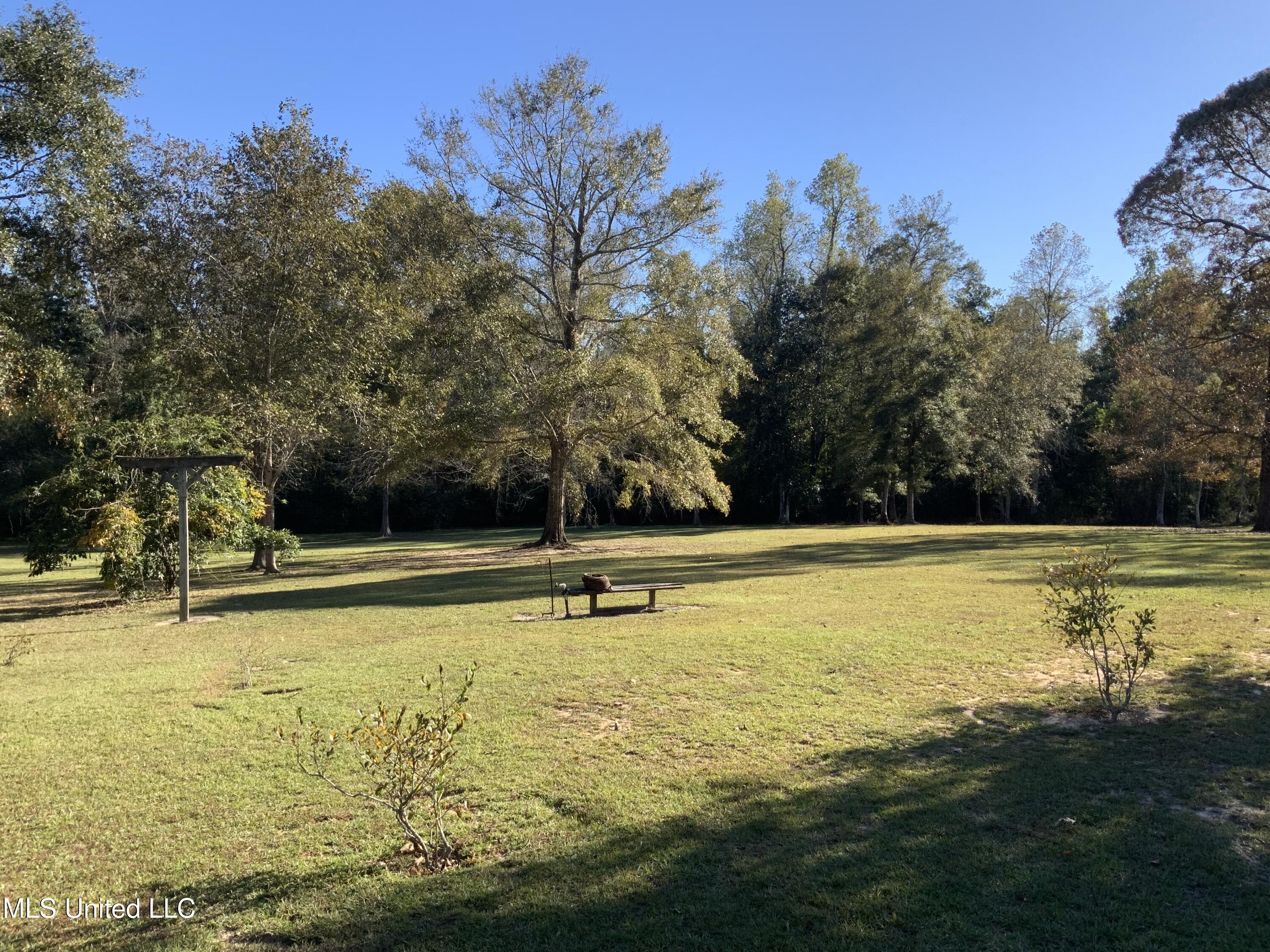 121 Tripp Lane Carriere, MS 39426 - Photo 53 of 62 Taken from street/middle of land