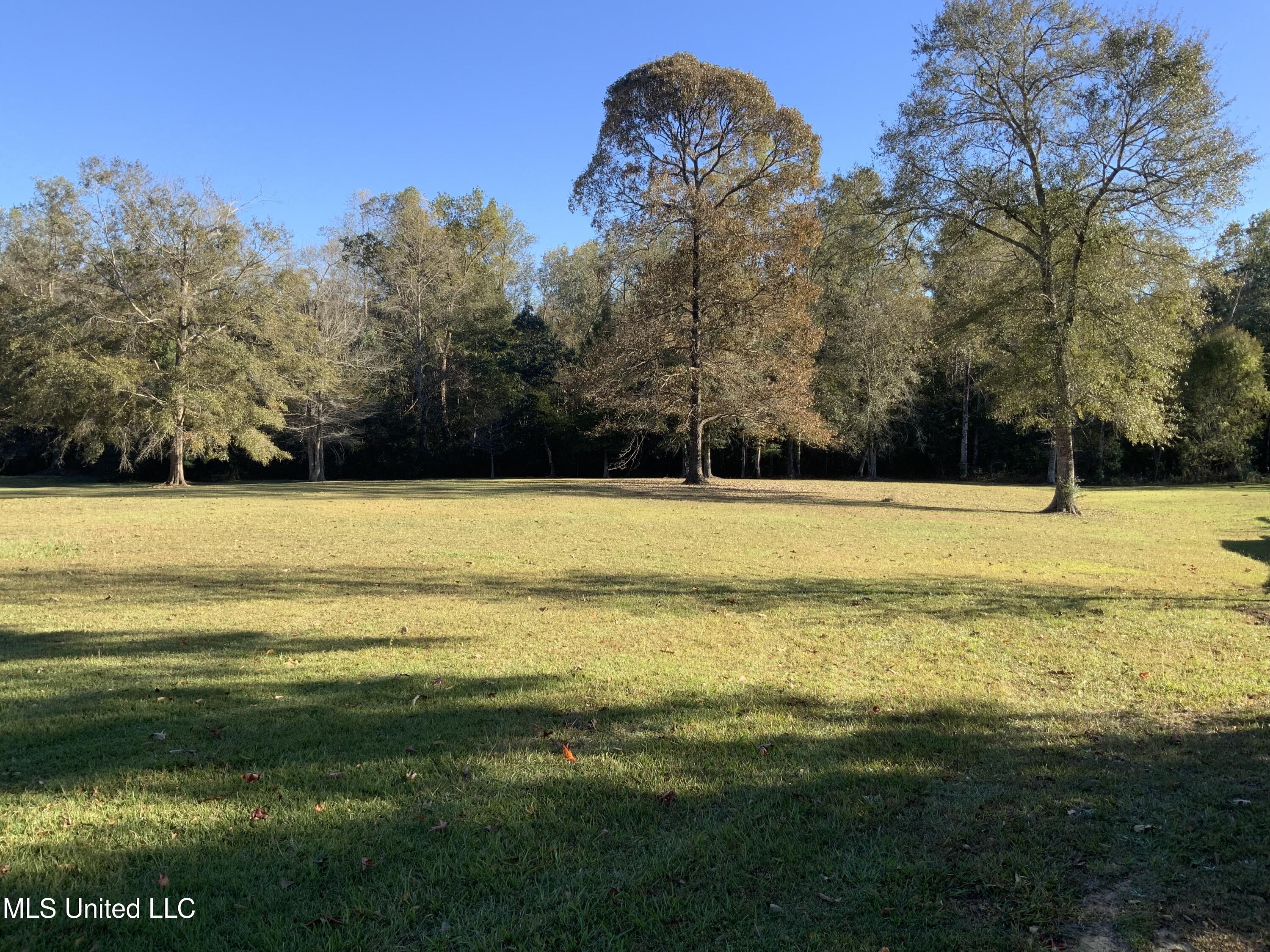 121 Tripp Lane Carriere, MS 39426 - Photo 56 of 62 Backyard