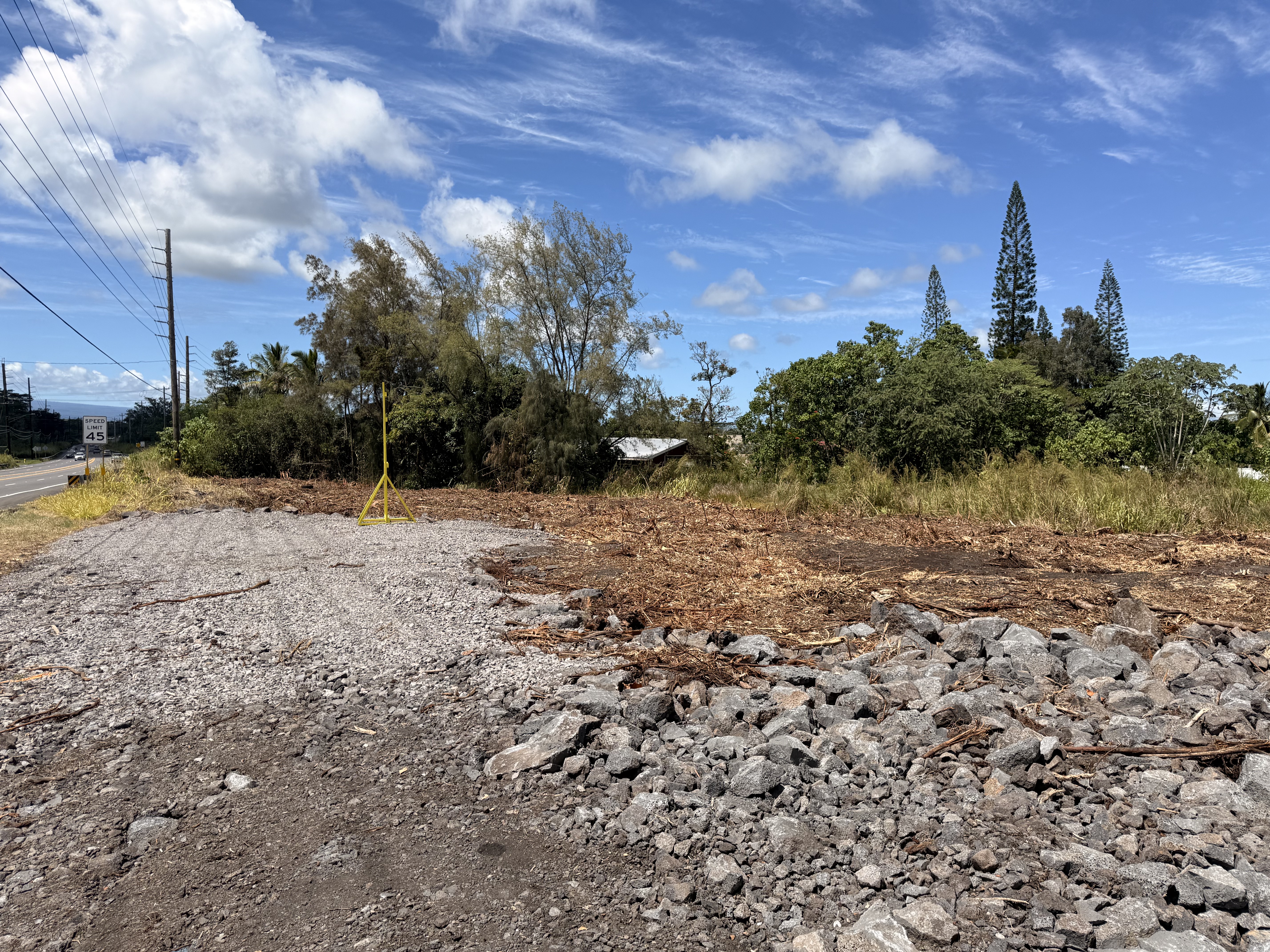a view of a dry yard with trees