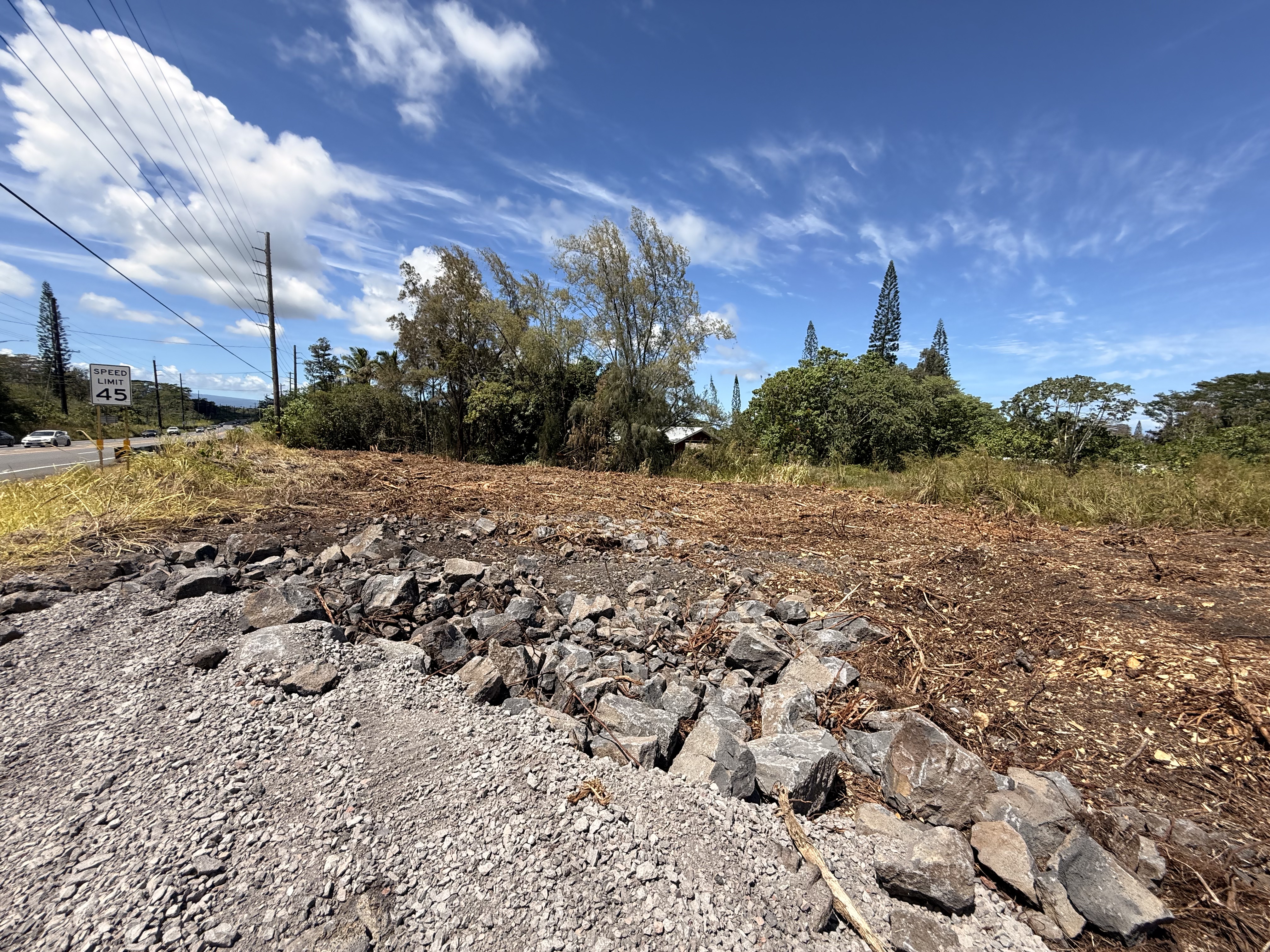 1 Keaau-Pahoa Road Keaau, HI 96749 - Photo 5 of 8 a view of a dry yard with trees