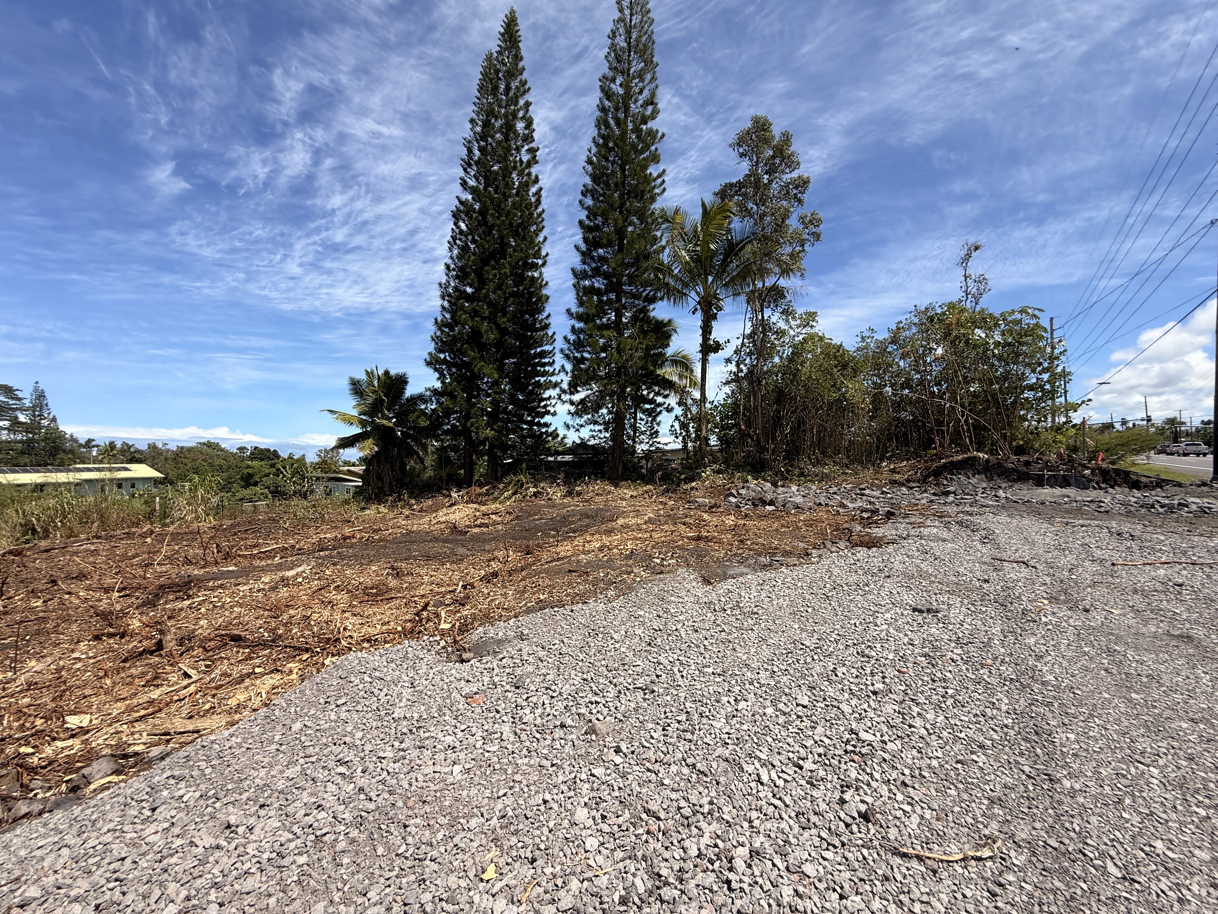 1 Keaau-Pahoa Road Keaau, HI 96749 - Photo 6 of 8 a view of a dry yard with trees