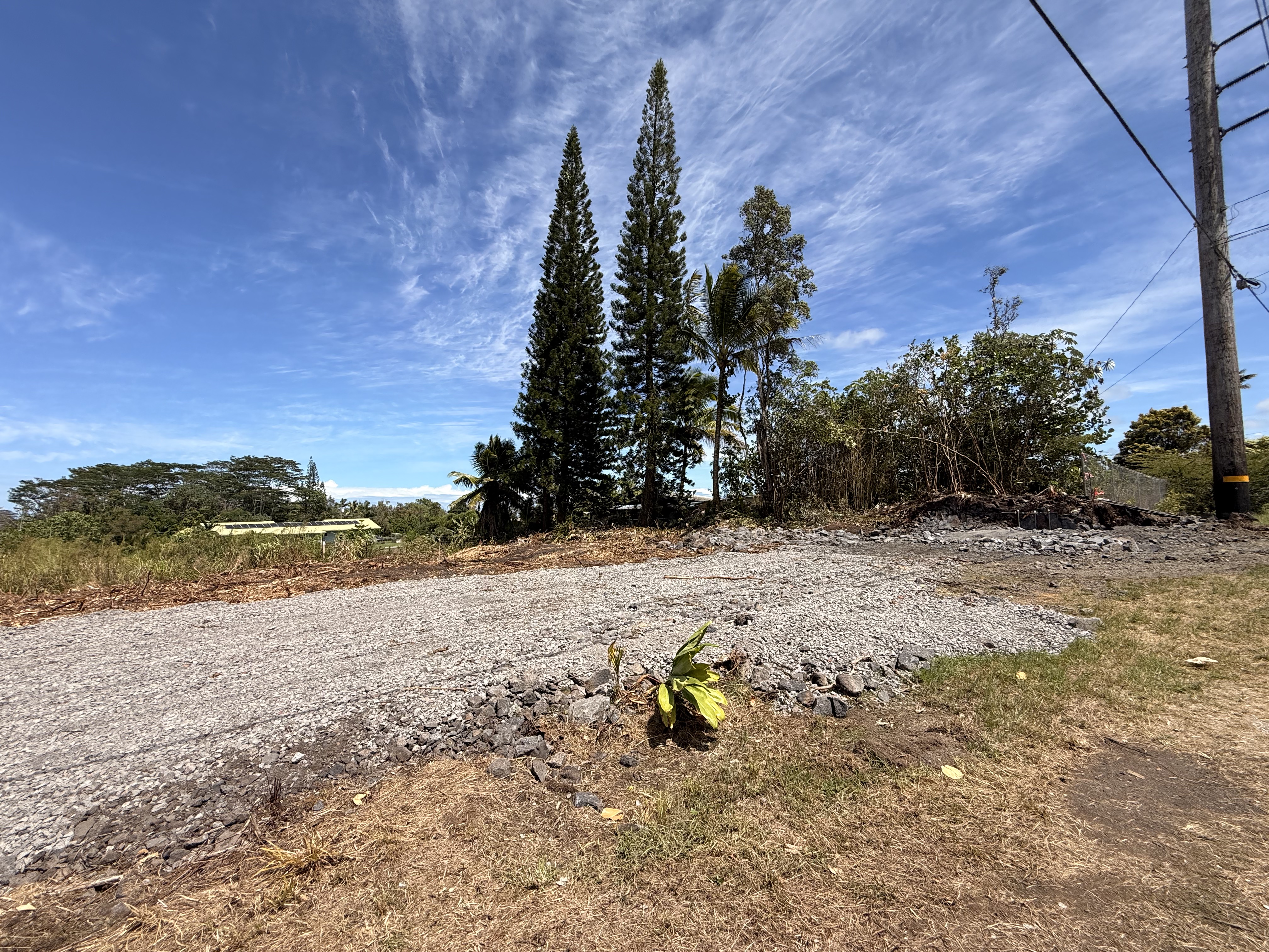1 Keaau-Pahoa Road Keaau, HI 96749 - Photo 7 of 8 a view of a yard with a tree