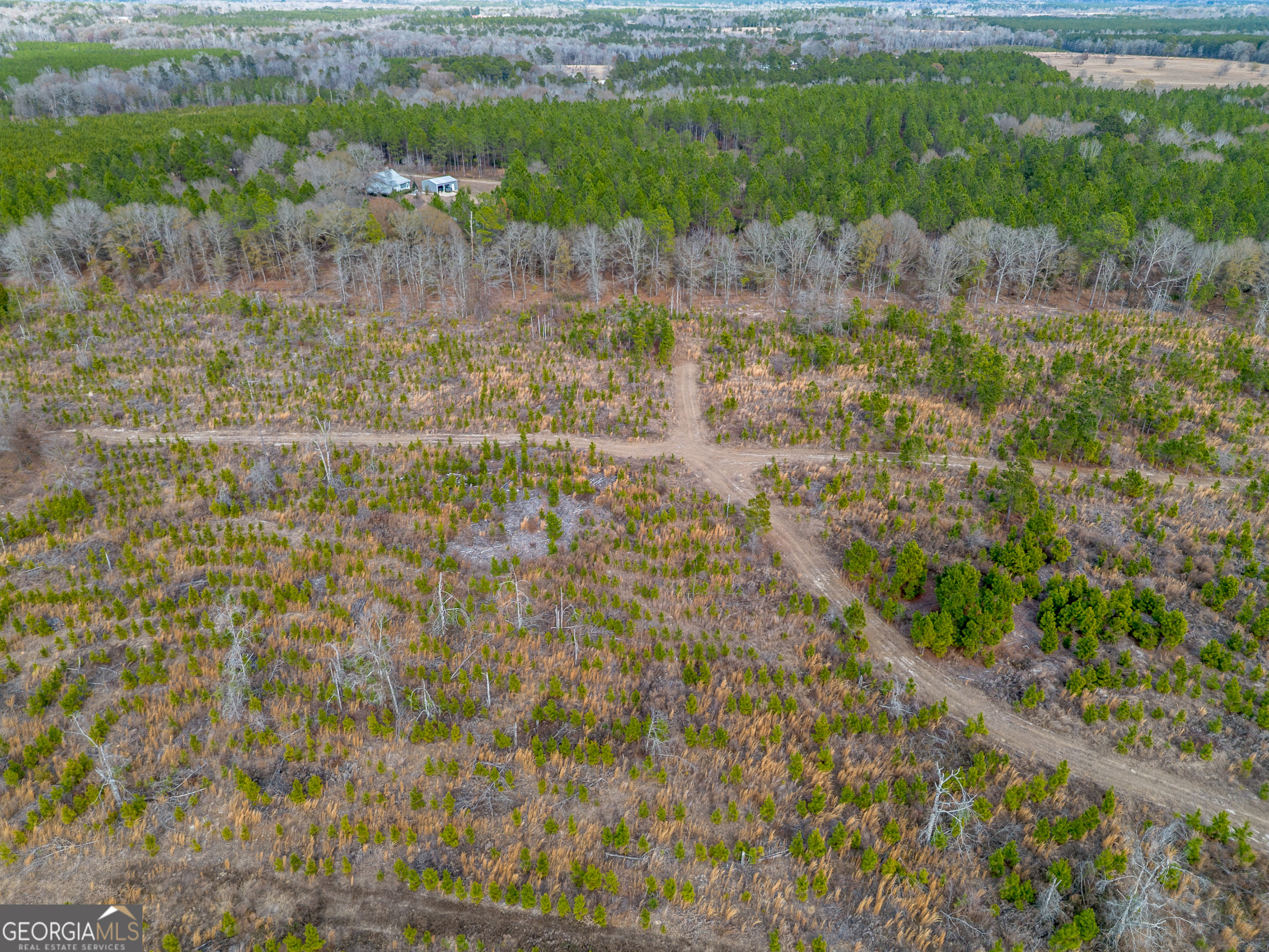 2 Bell Line Road Eastman, GA 31023 - Photo 2 of 8 a view of a yard with plants and large trees