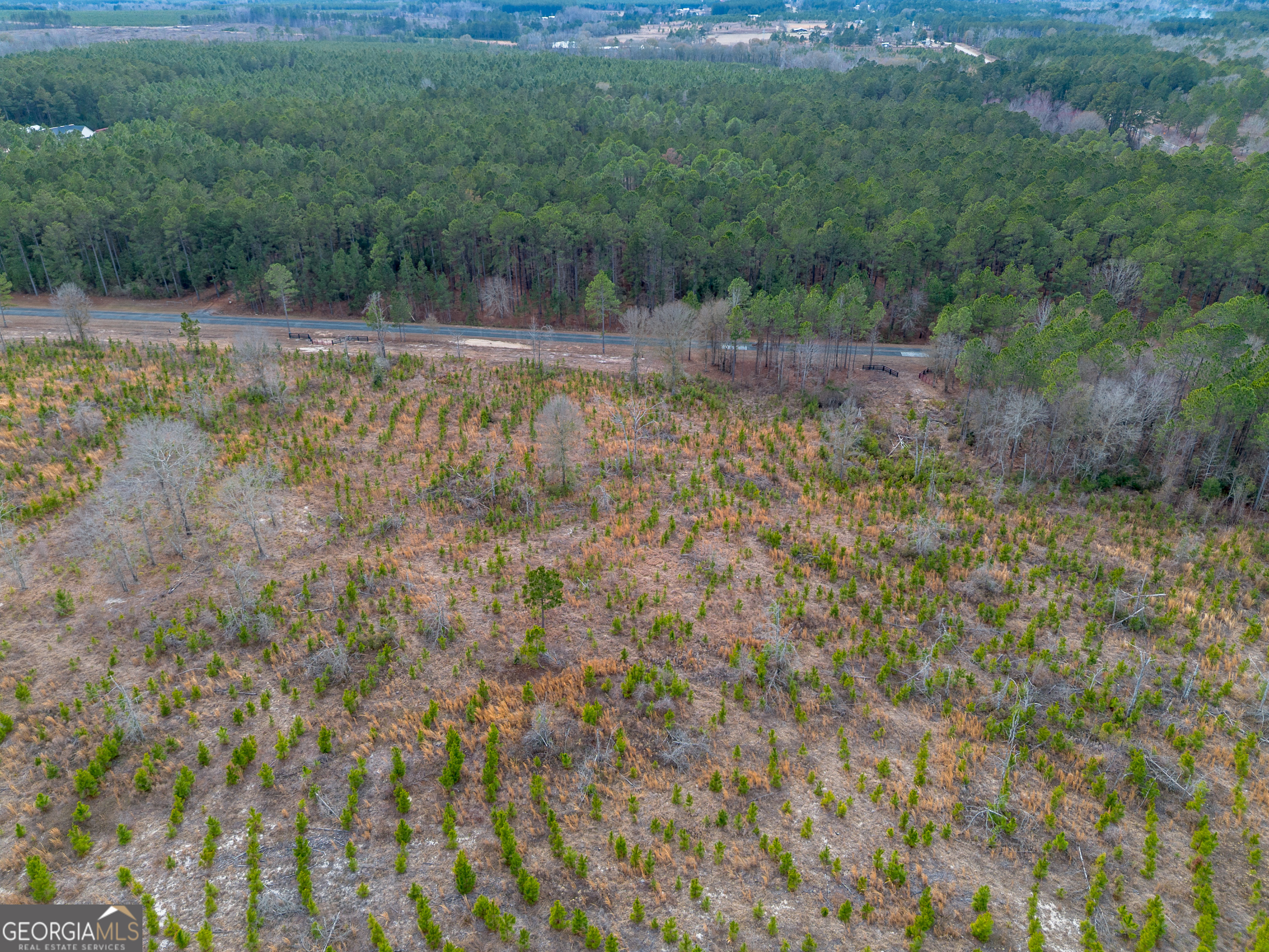 2 Bell Line Road Eastman, GA 31023 - Photo 3 of 8 a view of a yard with large trees