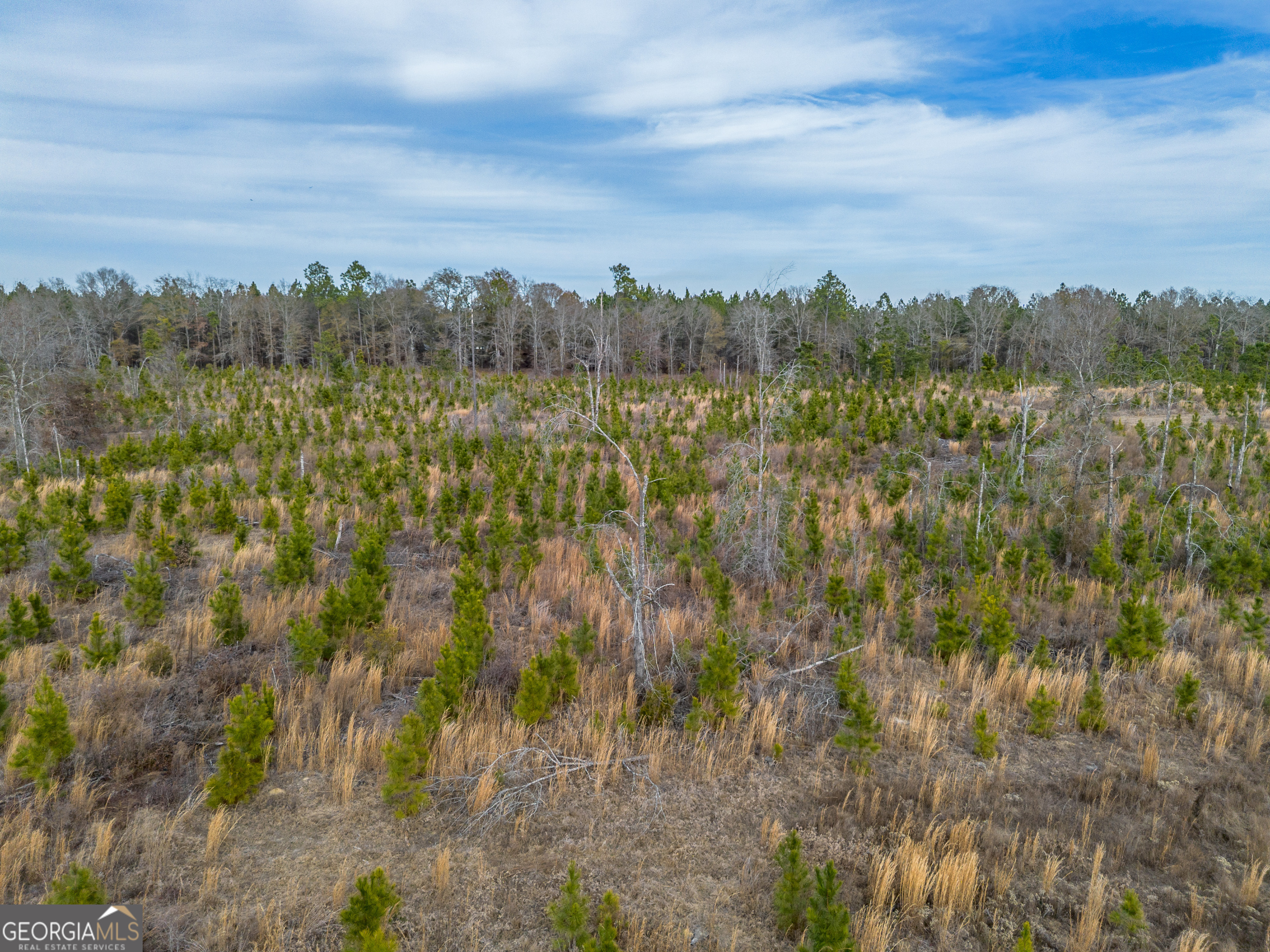 2 Bell Line Road Eastman, GA 31023 - Photo 4 of 8 a view of a city with lush green forest