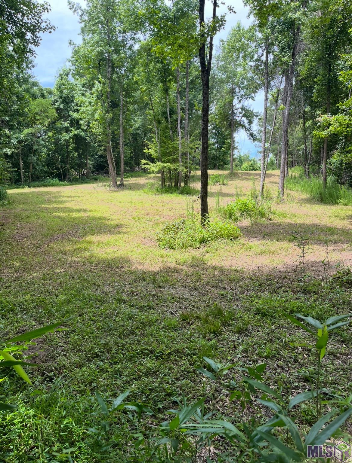 11255 Old Port Gibson Road Port Gibson, MS 39150 - Photo 24 of 32