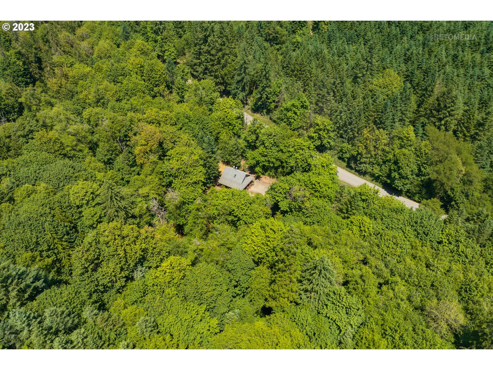53550 Northwest Strassel Road Forest Grove, OR 97116 - Photo 44 of 44 a view of a big yard with plants and large tree