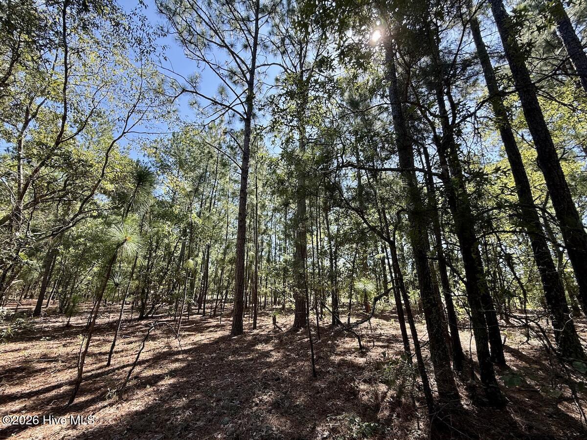 Lot 10 Marks Road Cameron, NC 28326 - Photo 14 of 19 Gallery Image 14
