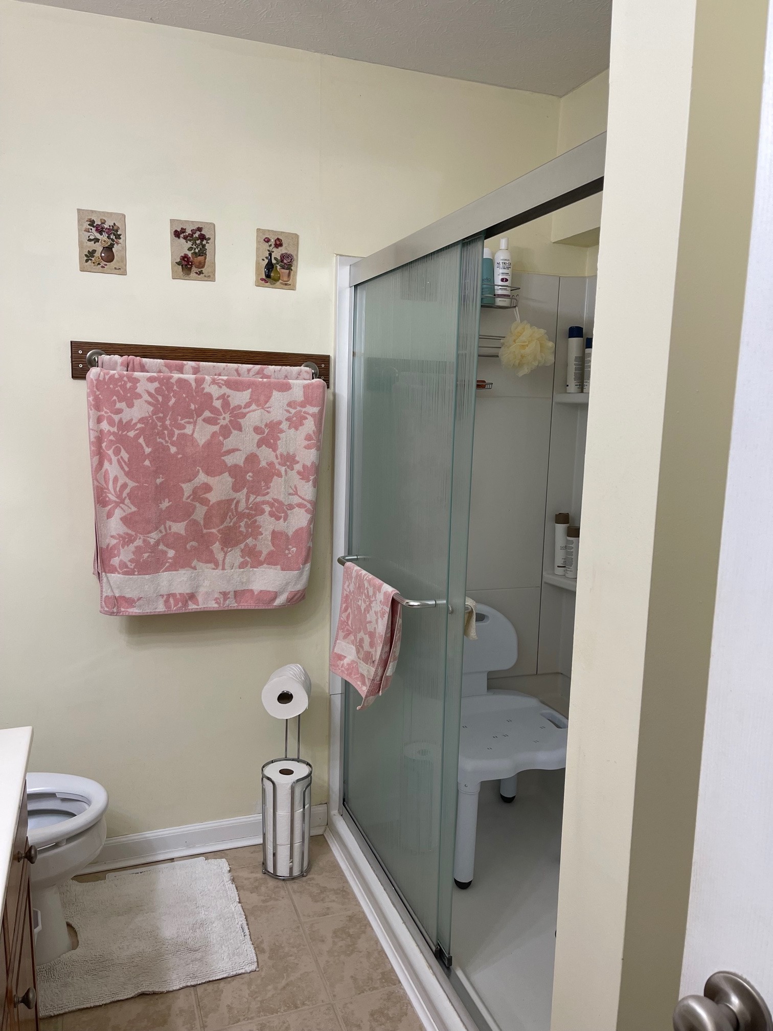488 Cook Road Portland, TN 37148 - Photo 18 of 24 a bathroom with a sink mirror and toilet