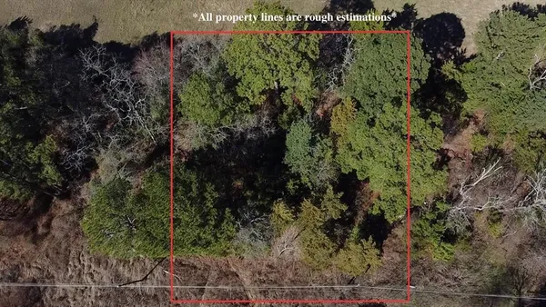 a view of dirt yard with a large tree