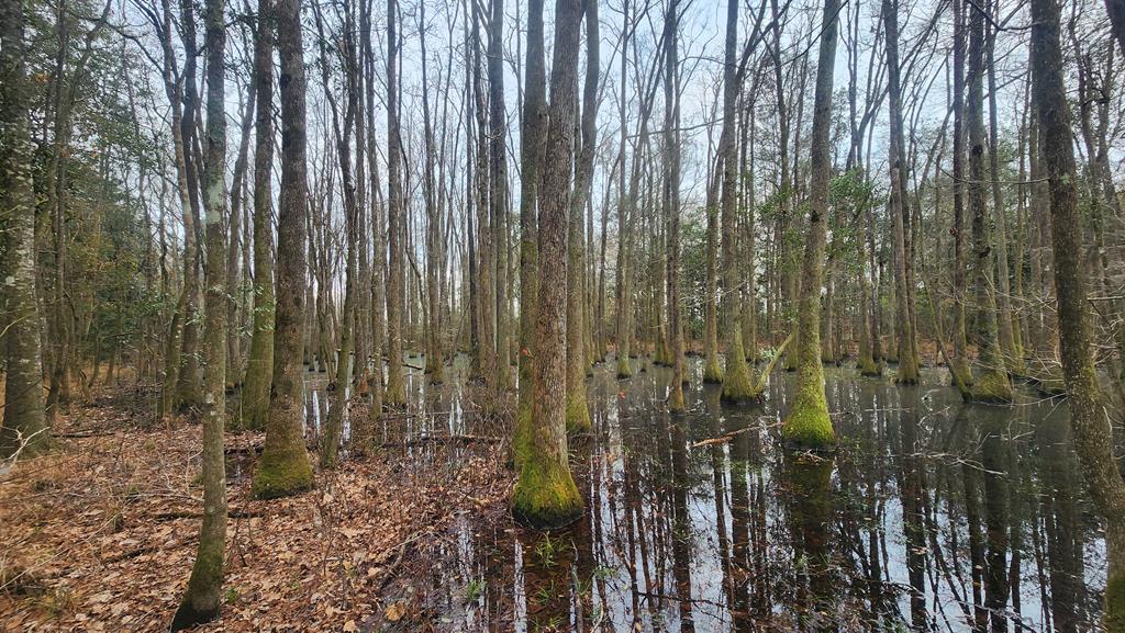 15.05 Pera Road Samson, AL 36477 - Photo 28 of 29