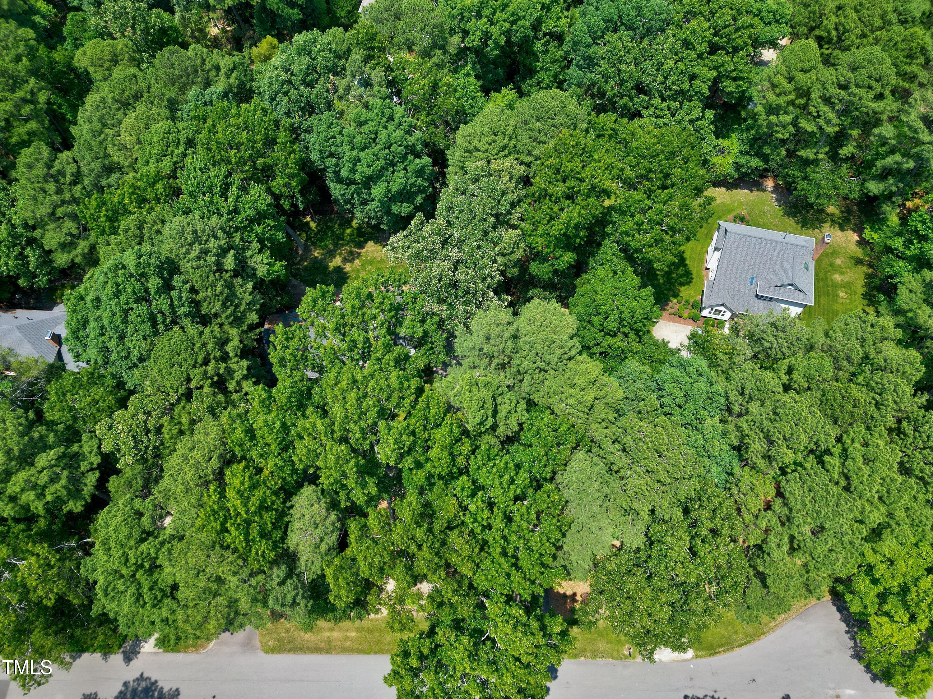 608 Misty Isle Place Raleigh, NC 27615 - Photo 3 of 75 Aerial-2