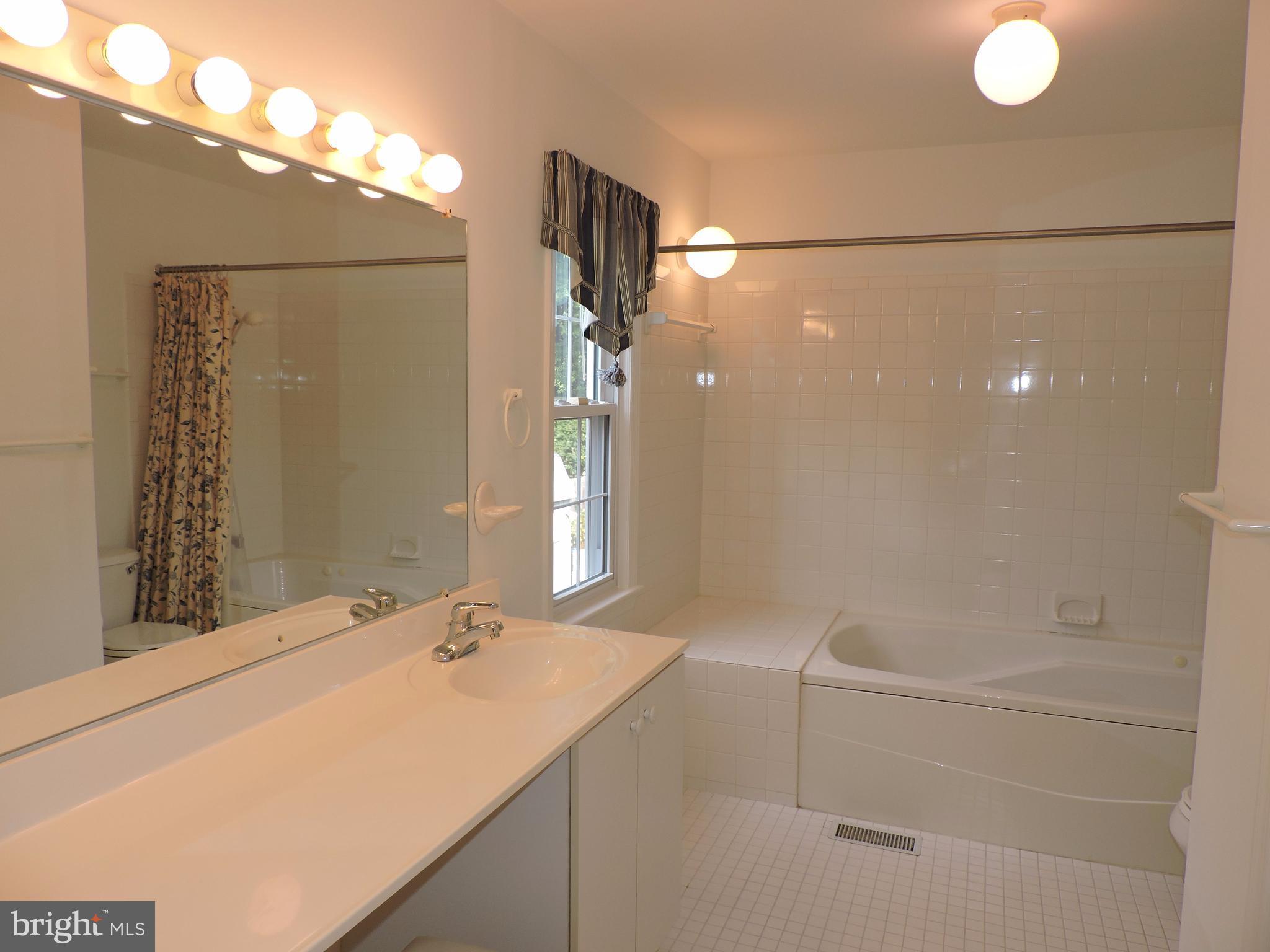 14129 Rippling Brook Drive Silver Spring, MD 20906 - Photo 15 of 25 Generous counter space and whirlpool bath