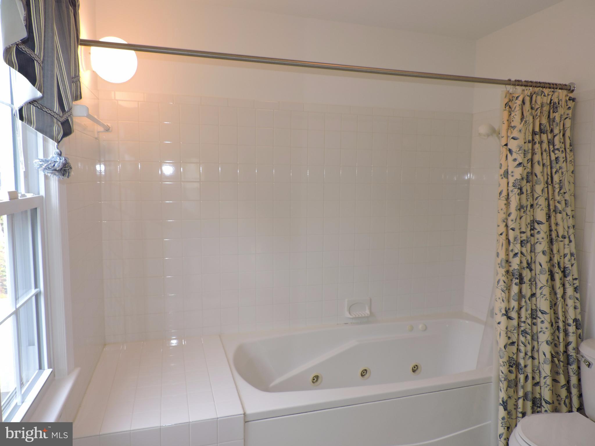 14129 Rippling Brook Drive Silver Spring, MD 20906 - Photo 16 of 25 Master whirlpool bath