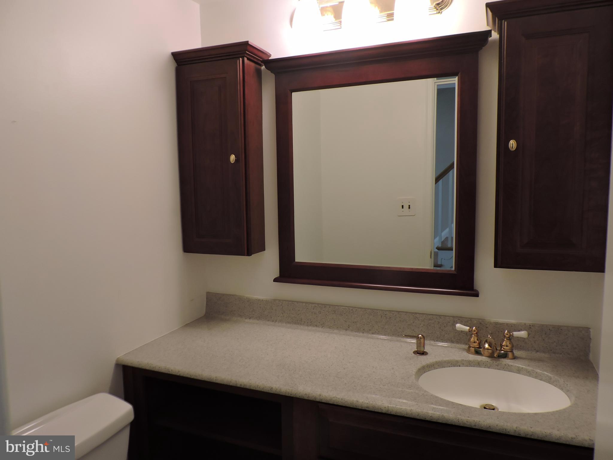 14129 Rippling Brook Drive Silver Spring, MD 20906 - Photo 4 of 25 Upgraded powder room off foyer