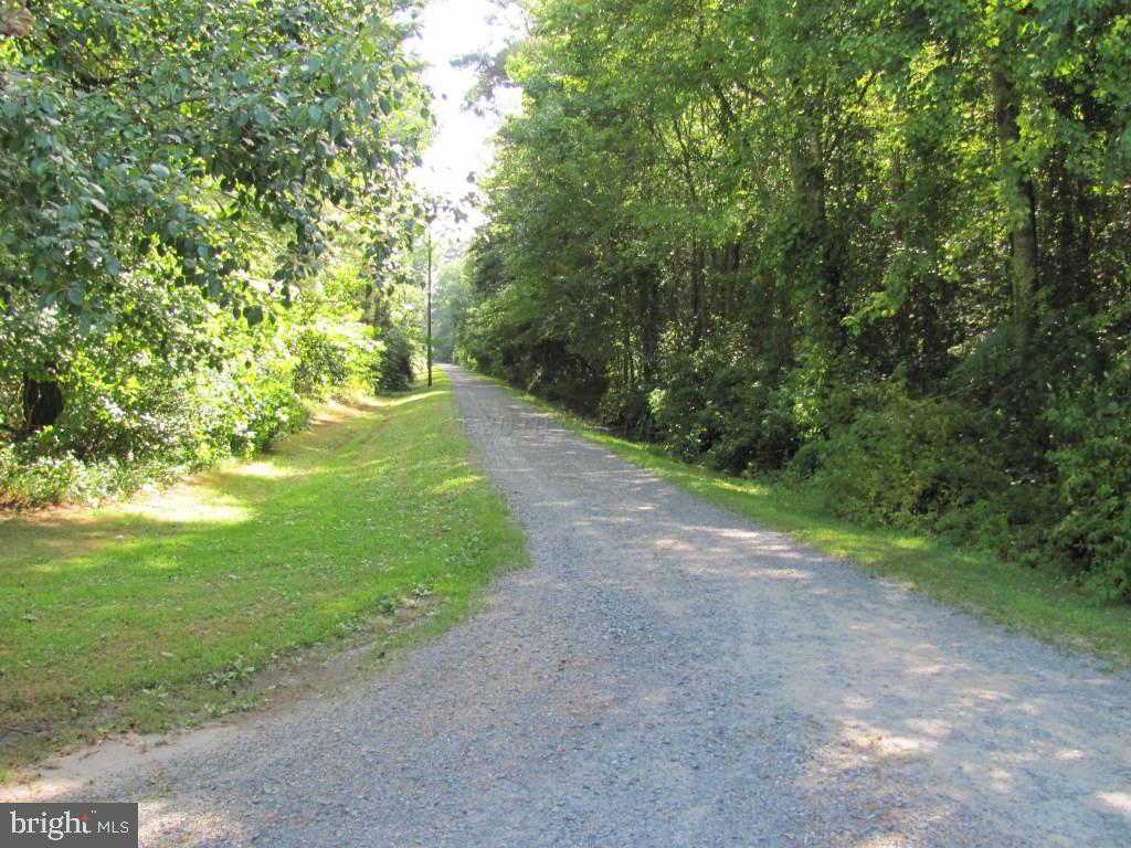 33398 Perryhawkin Road Princess Anne, MD 21853 - Photo 3 of 12